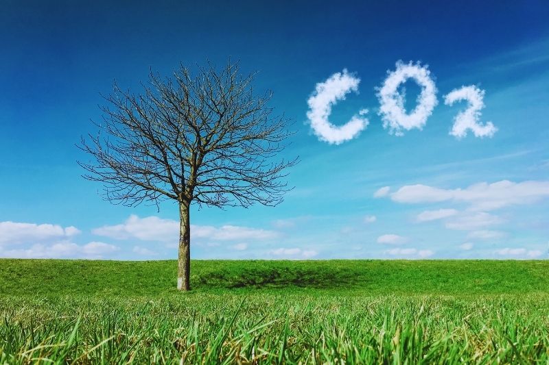 Carbon Fixation