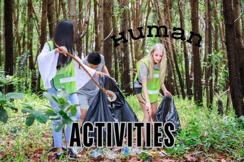 Impact Of Human Activities