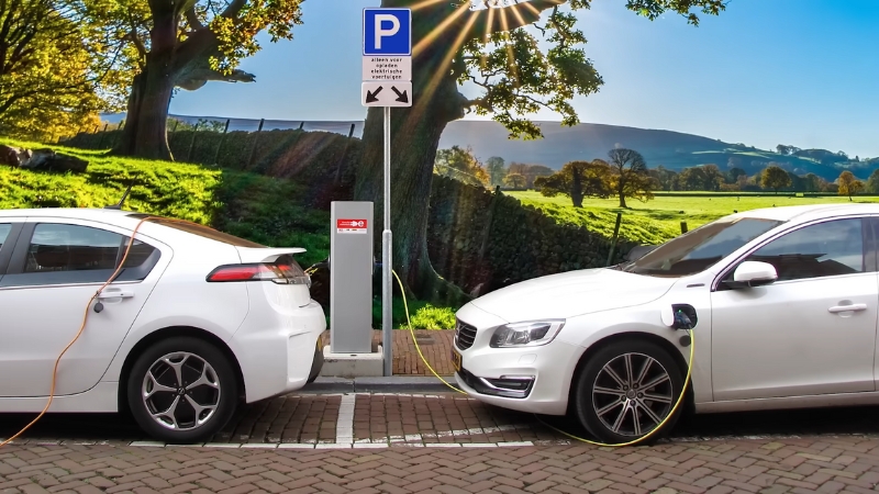 Two Electric Cars Charging at A Public Station with A Scenic Background