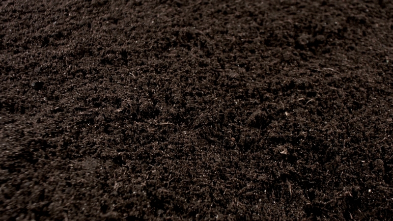 Dark, fertile soil, emphasizing the importance of soil in storing carbon through sustainable practices
