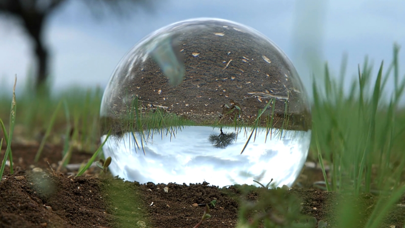 Close-up of a glass orb reflecting the surrounding grass and sky, symbolizing the concept of perspective and environmental change
