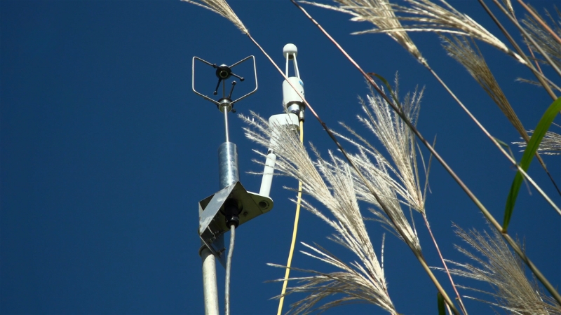 Eddy Covariance Towers measuring gas and heat exchange in a field, with tall grasses visible under clear skies