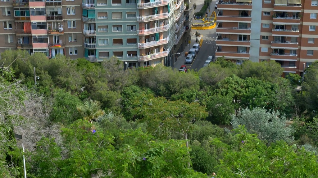 Urban gardens reduce city emissions with dense greenery between apartment buildings