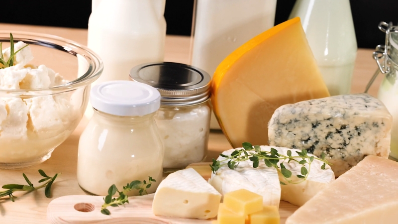 Different dairy products like milk, cheese, and yogurt sit on a table to show their carbon impact compared to plant-based options