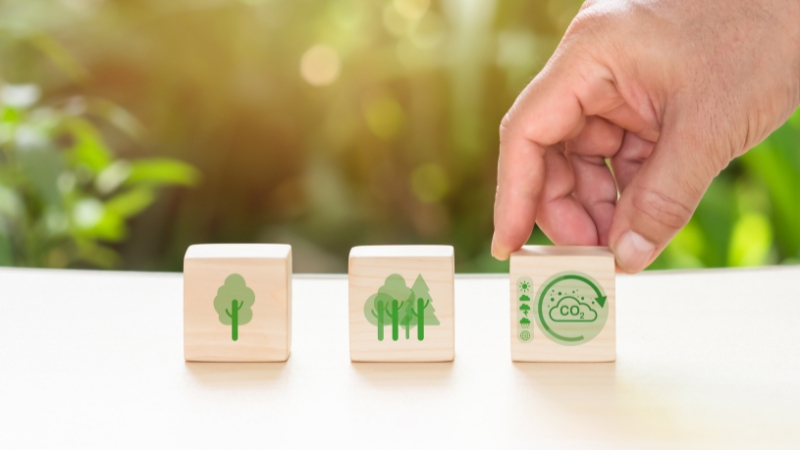 A hand moves wooden blocks with icons of trees and CO₂ reduction, symbolizing steps toward carbon neutrality