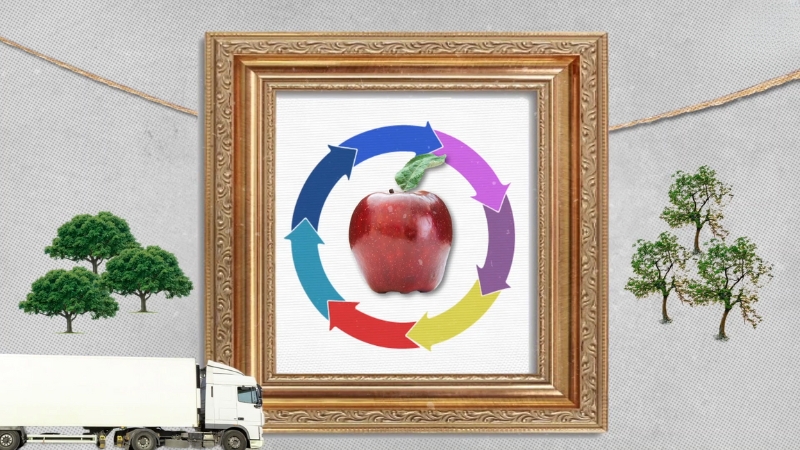A framed picture shows an apple with arrows around it showing food production and transport emissions