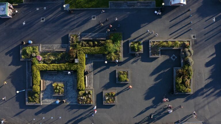 How Urban Gardens Improve Air Quality
