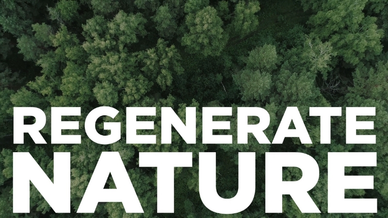 Aerial view of a green forest with the text “Regenerate Nature” highlighting circular economy goals