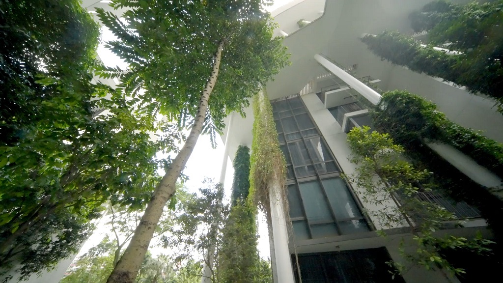 View of vertical garden integrated into a sustainable construction project