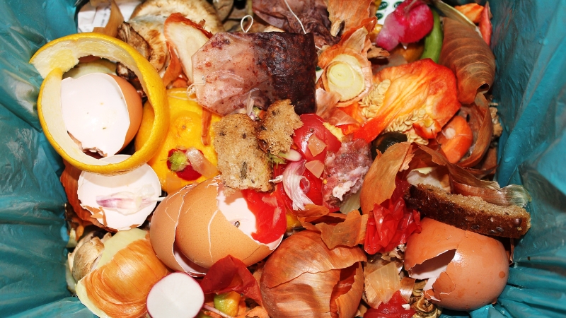 A bin filled with food scraps like eggshells, bread, and vegetables shows how waste adds to carbon emissions