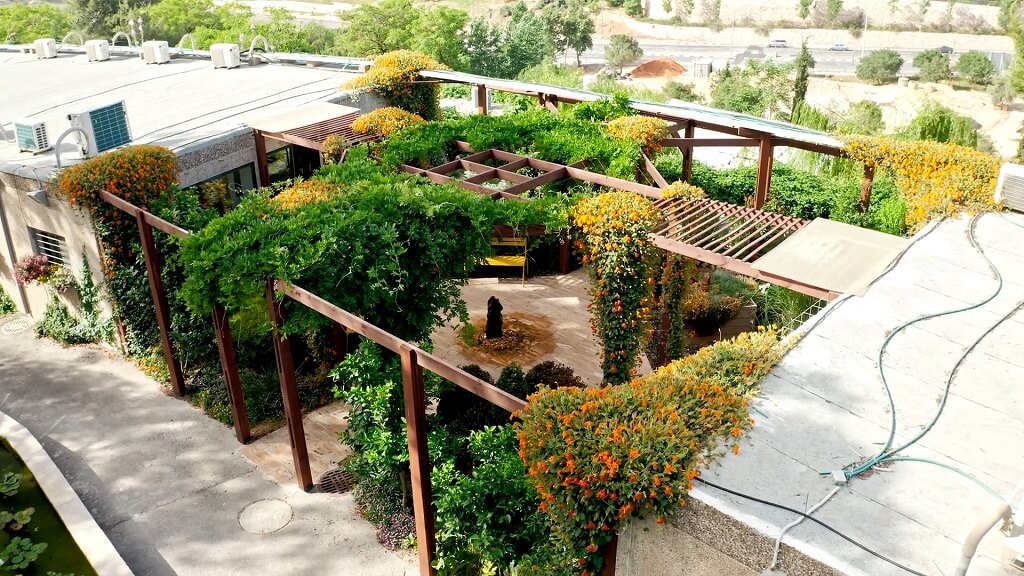 Urban gardens designed on rooftops and patios improve air quality and biodiversity