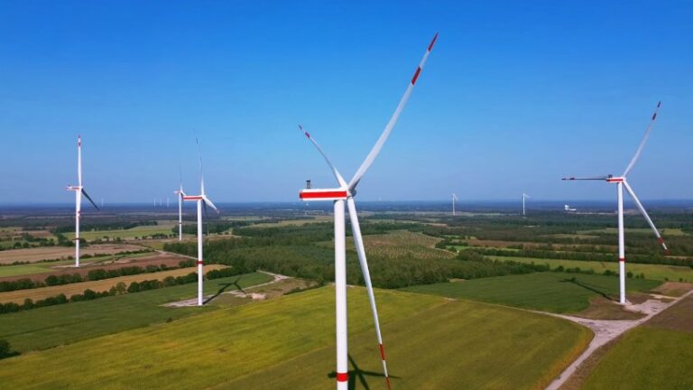 A group of wind turbines stands tall in a green field under a clear blue sky