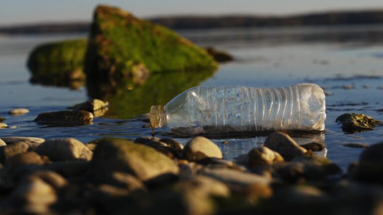 Plastic-Free Challenge
