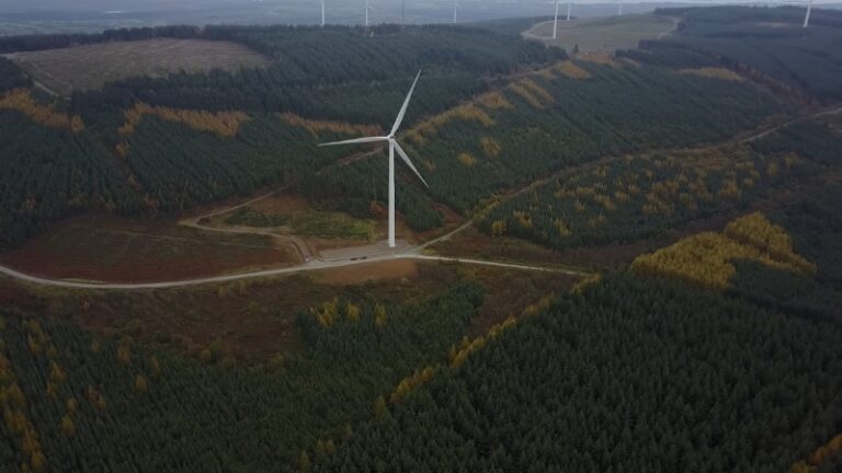 Wind turbine in a forested area generating wind energy