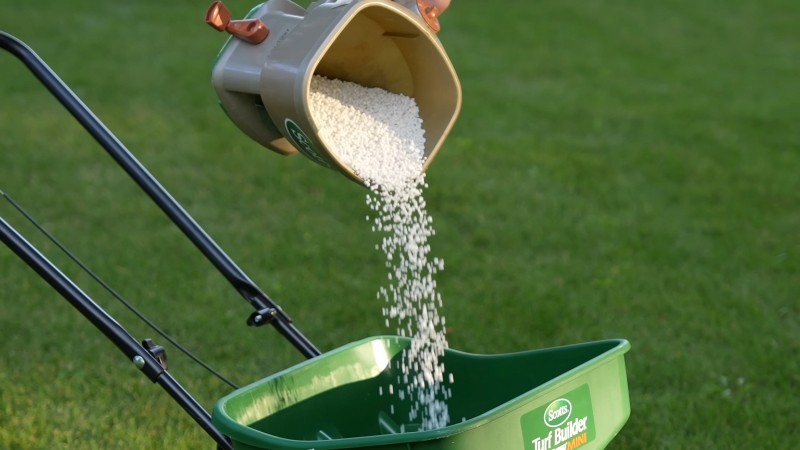 Granular nitrogen fertilizer pours into a spreader during field or lawn application