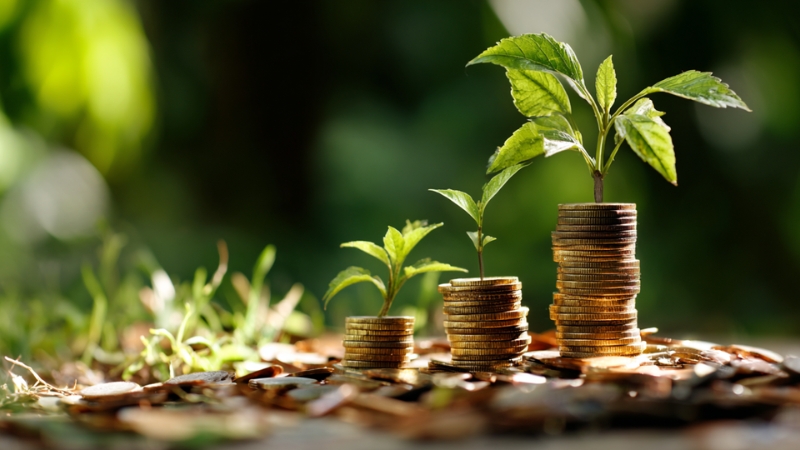 Stacks of coins with small plants growing on top, symbolizing a simple beginner green investment portfolio