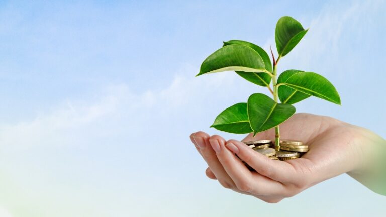 Hand holding a small plant growing from coins, representing green investment funds