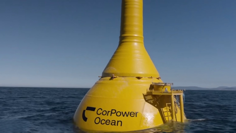 CorPower Ocean wave energy converter buoy operating offshore in open sea